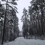 Chatka Kurki * Kurki