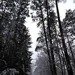 Farmház Chatka Kurki Kurki