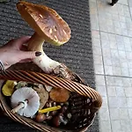 Chatka Kurki Farmház Kurki