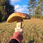 Farm stay Chatka Kurki Kurki