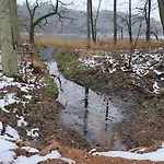 Gospodarstwo agroturystyczne Chatka Kurki