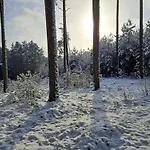 Chatka Kurki * Kurki