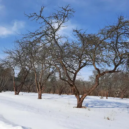 Agroturismo Chatka Kurki Kurki