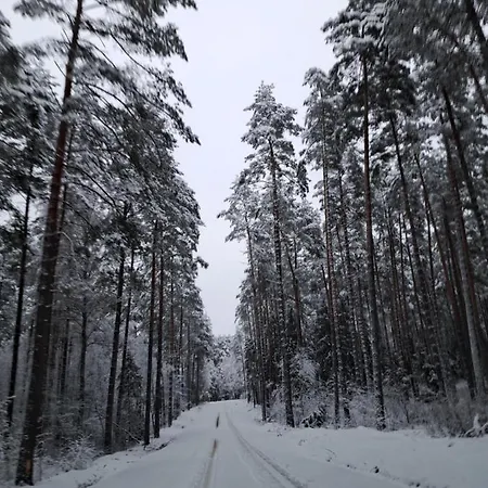 Chatka Kurki * Kurki