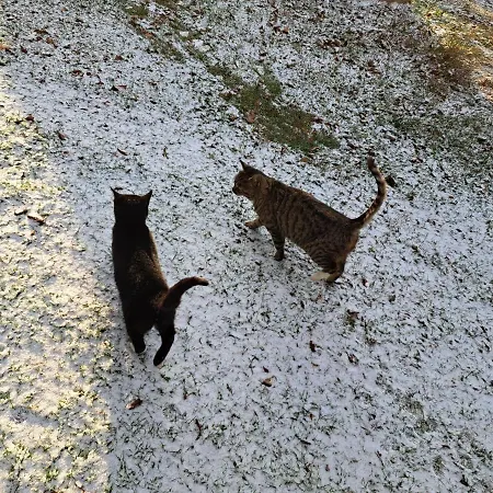 Κατάλυμα σε φάρμα Chatka Kurki
