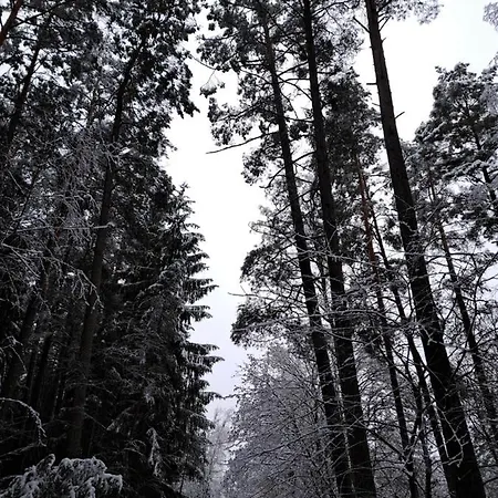 Agroturismo Chatka Kurki Kurki