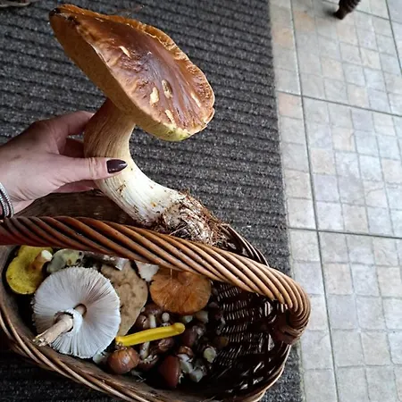 Chatka Kurki Lantgård Kurki