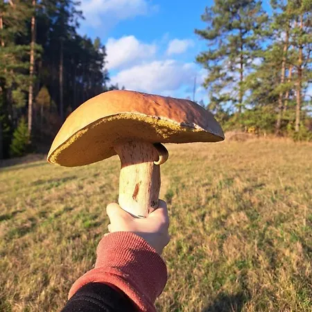 Agroturismo Chatka Kurki Kurki