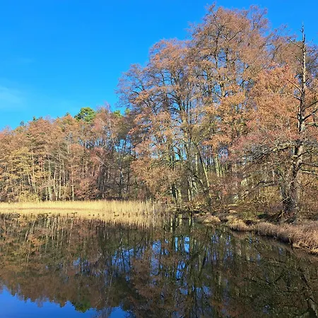 Chatka Kurki Alloggio per agriturismo Kurki