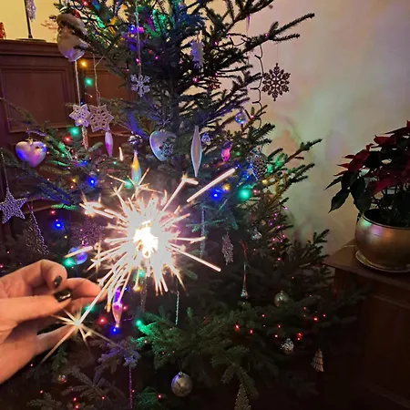 Chatka Kurki *