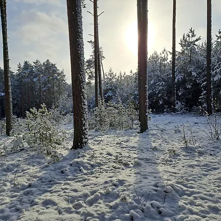 Chatka Kurki * Kurki