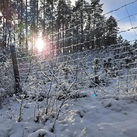 Farm stay Chatka Kurki *