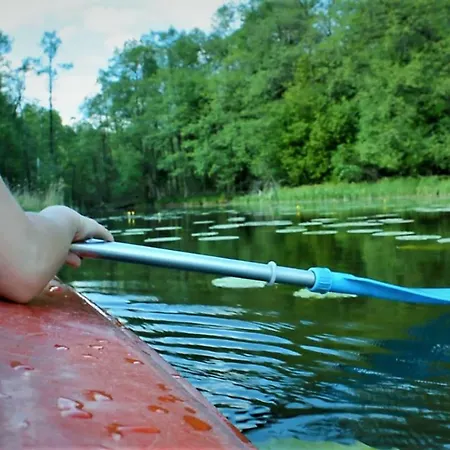 팜스테이 Chatka Kurki