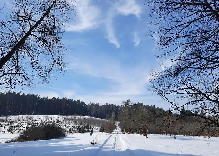 Vakantieboerderij Chatka Kurki *