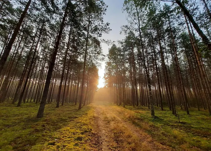 Chatka Kurki Gospodarstwo agroturystyczne