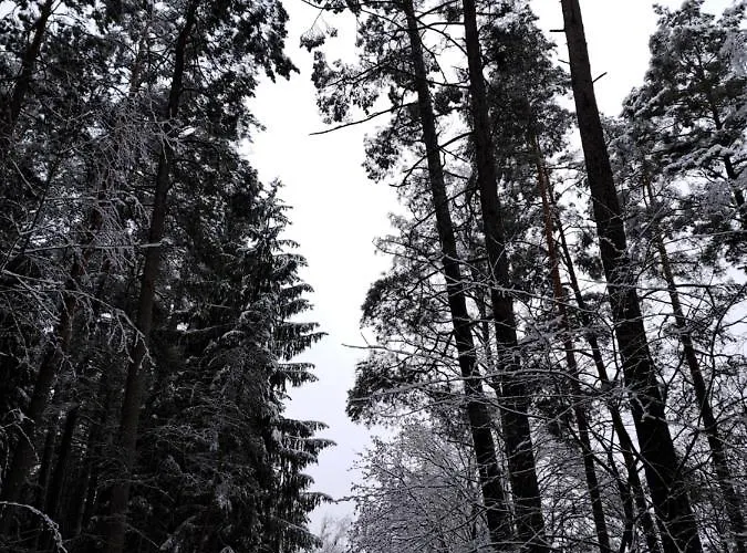 Gospodarstwo agroturystyczne Chatka Kurki Kurki