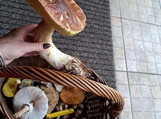 Chatka Kurki Vakantieboerderij Kurki