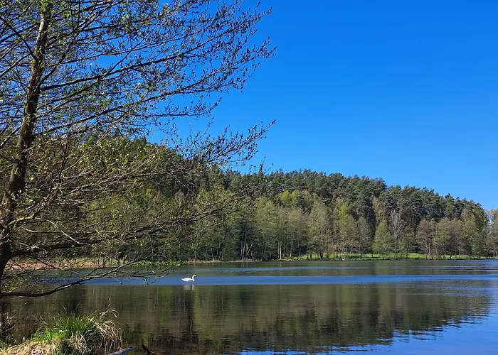 Chatka Kurki Vakantieboerderij Kurki