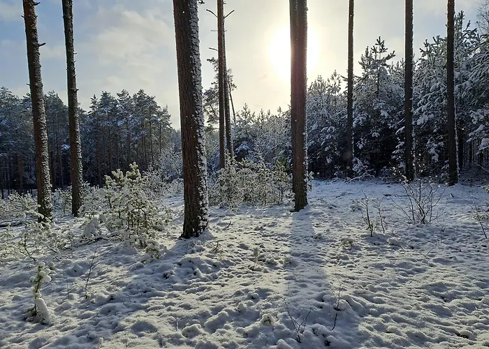 Chatka Kurki * Kurki