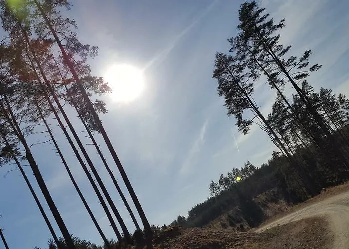 Gospodarstwo agroturystyczne Chatka Kurki *